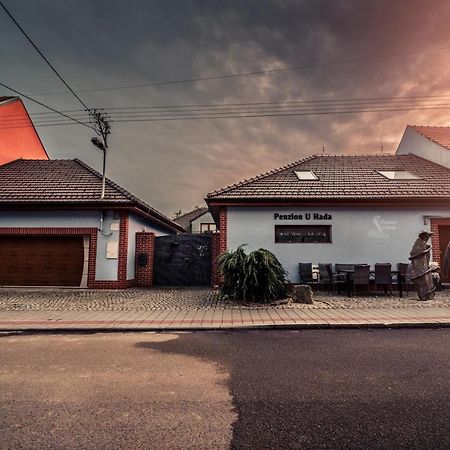 Penzion U Hada Velké Pavlovice Exterior foto