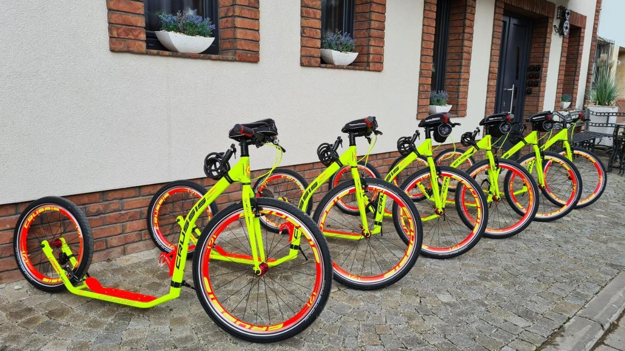 Penzion U Hada Velké Pavlovice Exterior foto