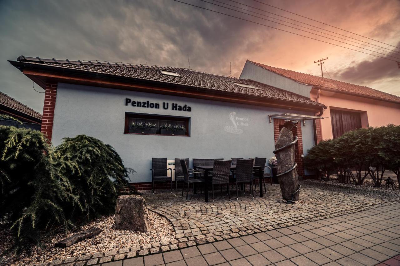 Penzion U Hada Velké Pavlovice Exterior foto